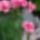 Wp_20160602_14_11_14_pro_1993528_6953_t