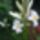 Wp_20160608_04_51_02_pro_1993540_4472_t