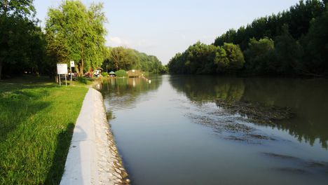 A Mosoni-Duna folyó Halászinál, 2016. június 24.-én 3