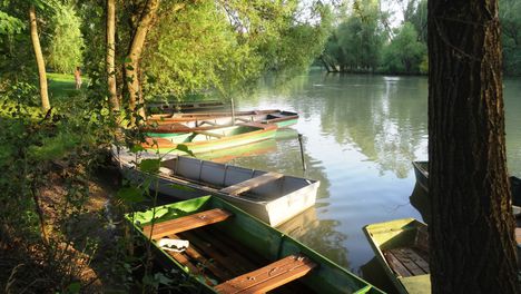 A Mosoni-Duna folyó Halászinál, 2016. június 24.-én 4