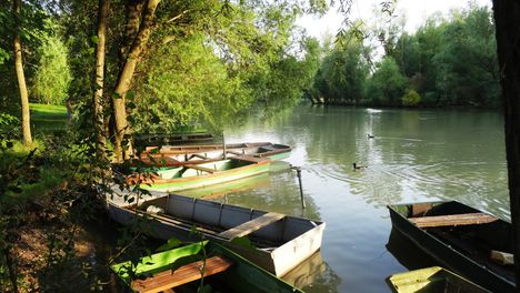 A Mosoni-Duna folyó Halászinál, 2016. június 24.-én 5