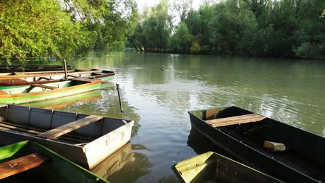 A Mosoni-Duna folyó Halászinál, 2016. június 24.-én 9