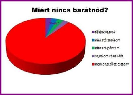 Miért nincs barátnőd!