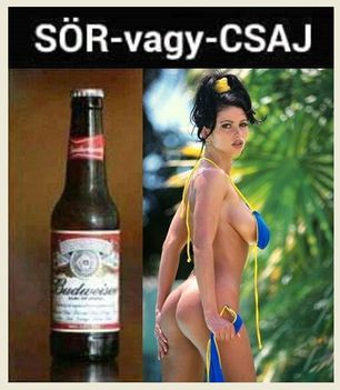Sör, vs csaj!