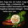 Aldas_bekesseg-064_1995557_2896_t