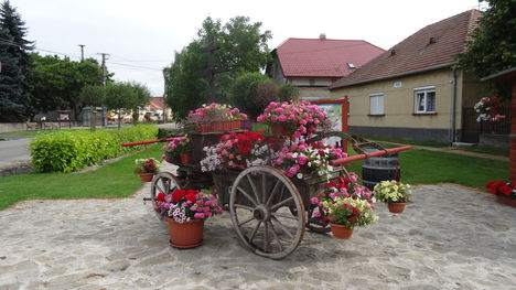 Virágokkal szépen díszített Máriakálnok község belterülete, 2016. június 26.-án 3