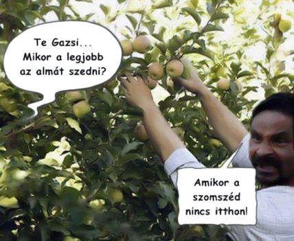 Almaszüret!
