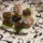 Grillazs_fondantos_kocka_1996019_2981_t