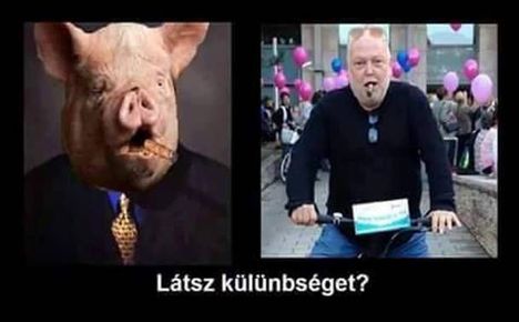 Különbség!