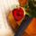 Papvari_elemerne_1996822_2483_t