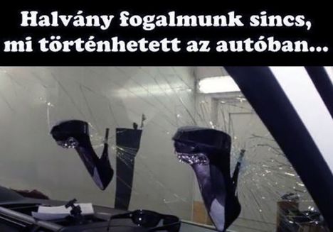 Történés!