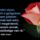 Aldas_bekesseg-007_1998740_7628_t