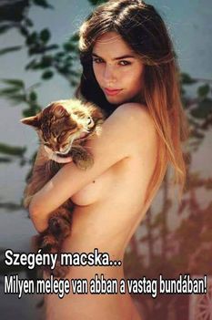 Cicák!