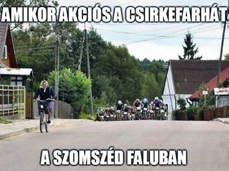 Gizi lenyomta az egész mezőnyt!