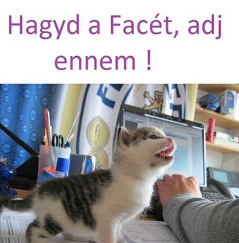 Hagyd!