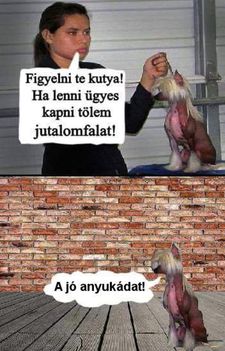 Jutalomfalat!