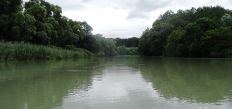 Nyárasi Duna-ág a  Burjáni bukó felvízi szakaszán, Püski 2016 július 14.-én 1