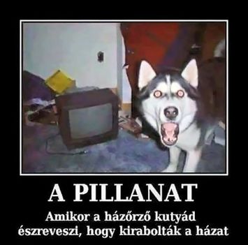 Pillanat!