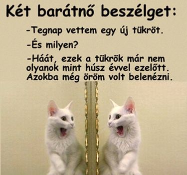 Tükör!