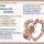 Aldas_bekesseg-070_1999954_5036_t