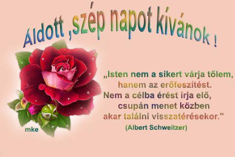 Gerő Sándor :HOMOKBA IRD!