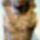 Niuszerre_1999021_6358_t