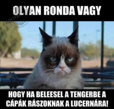 OLYAN RONDA VAGY..