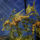 3-001_1099578_3237_t