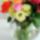 32b86eea04de57efe356e3a82c0fa5a3_1909088_4293_t