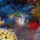 5-001_1099580_5051_t
