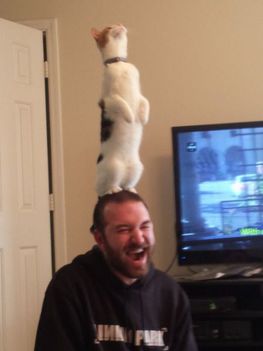 739