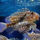 8-001_1099588_9246_t