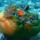 9-001_1099591_9185_t
