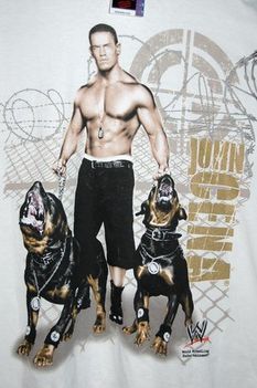 cena shirt