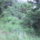 Dsc00018_199295_95488_t