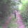 Dsc00042_199316_43719_t