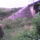 Dsc00046_199317_53932_t