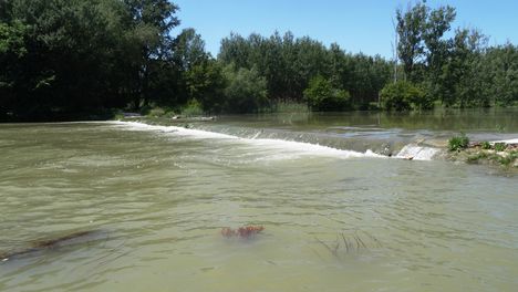 Farkaslyuki zárás a Szigetközi hullámtéri vízpótlórendszerben, Ásványráró 2016. június 07.-én 6