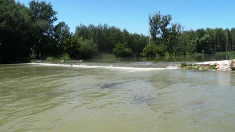 Farkaslyuki zárás a Szigetközi hullámtéri vízpótlórendszerben, Ásványráró 2016. június 07.-én 7