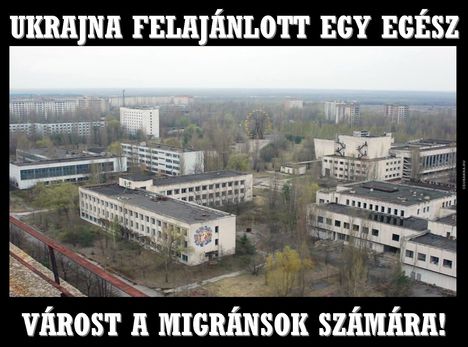 Felajánlás!
