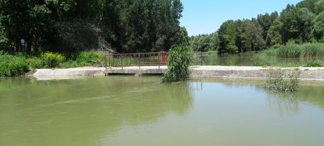 Gatyai vízszintszabályozó műtárgy a Szigetközi hullámtéri vízpótlórendszerben, Ásványráró 2016. június 07.-én 3