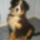 Gyonyoruseg__1099929_4675_t