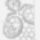 Hatagu_csillagterito_1909767_3669_t