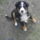 Imgp0058_1099941_5753_t