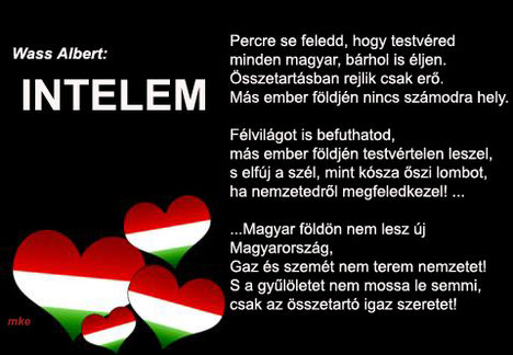 INTELEM