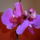 Kep_016_1099460_3433_t