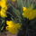 Klubvezeto_kepei_5_1099782_3131_t