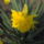 Klubvezeto_kepei_6_1099783_2620_t
