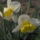 Klubvezeto_kepei_9_1099786_3330_t