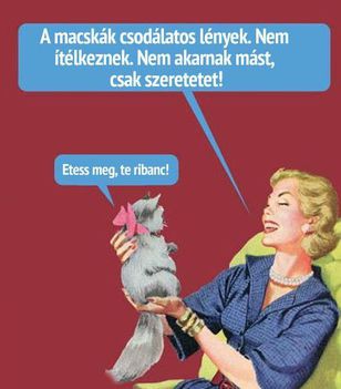 Macskák!